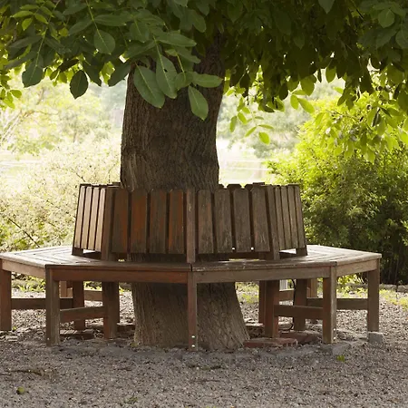 Weinhof Am Nussbaum Penzion