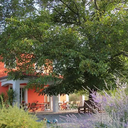 Weinhof Am Nussbaum Penzion Willanzheim