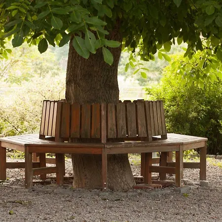 Weinhof Am Nussbaum Gasthof Willanzheim