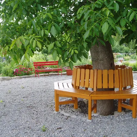 Weinhof Am Nussbaum Gasthof Willanzheim