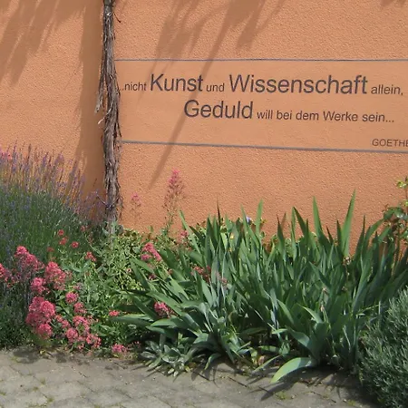 Weinhof Am Nussbaum 3* Willanzheim