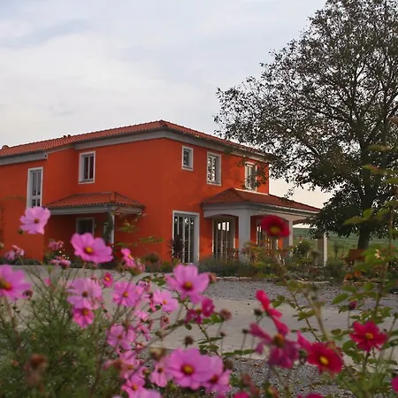 Weinhof Am Nussbaum Gasthof Willanzheim