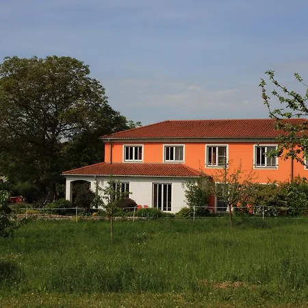 Weinhof Am Nussbaum Gæstehus