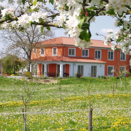 Gæstehus Weinhof Am Nussbaum 3*