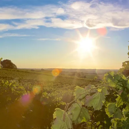 Weinhof Am Nussbaum Gæstehus 3*