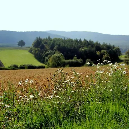Weinhof Am Nussbaum Gæstehus Willanzheim