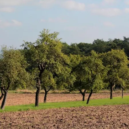 Weinhof Am Nussbaum