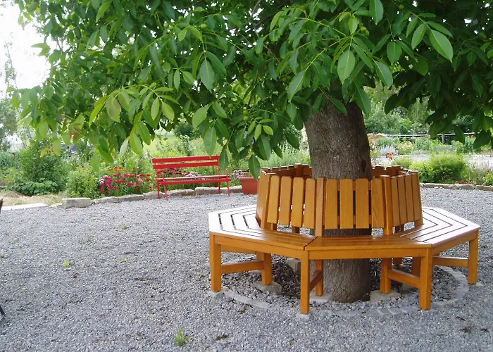 Weinhof Am Nussbaum Willanzheim